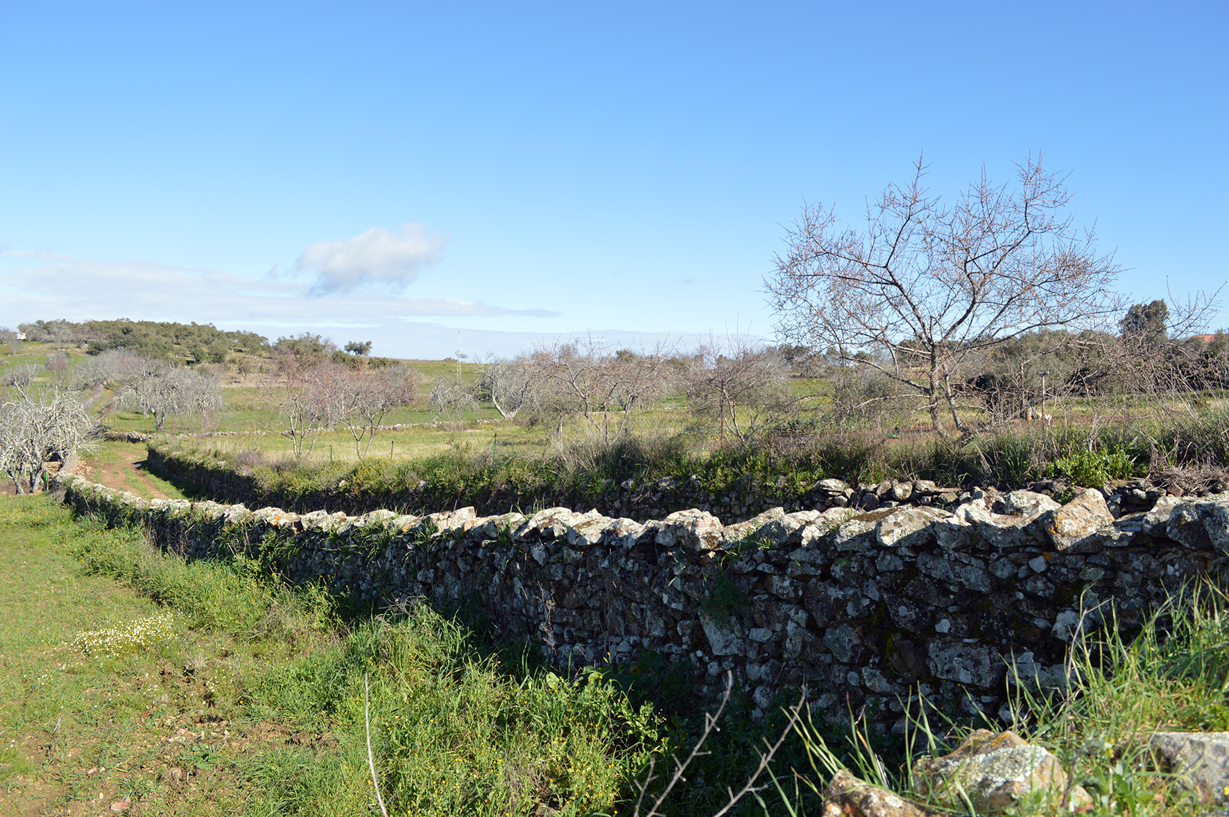 Estudio de los ruedos agrícolas en el POTS Sierra de Huelva