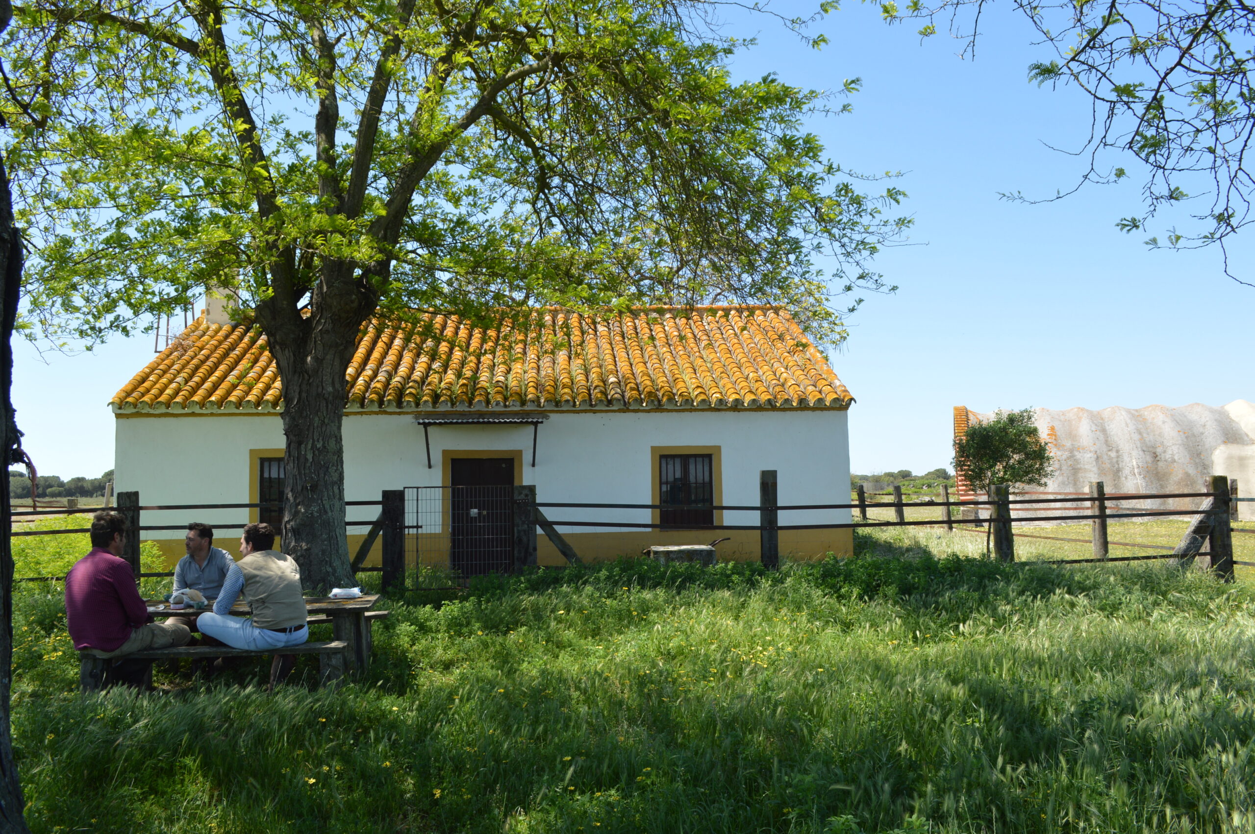 Servicio de investigación de la arquitectura tradicional presente en el Espacio Natural de Doñana
